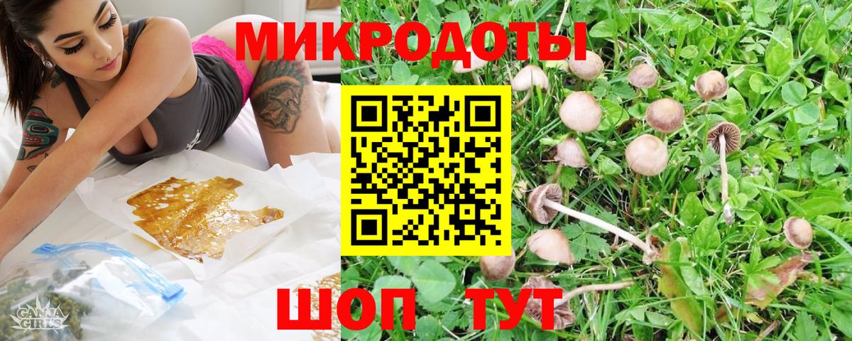 Псилоцибиновые грибы прущие грибы Ахтубинск