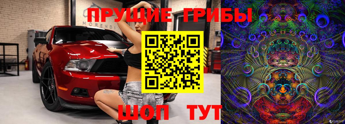 закладки  Вход с VPN  Ахтубинск  Галлюциногенные грибы Magic Shrooms 